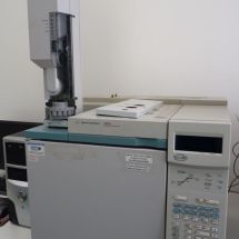Gas chromatograph Agilent 6890 with flame ionization detector