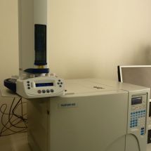 Gas chromatograph YL 6100GC with flame ionization detector
