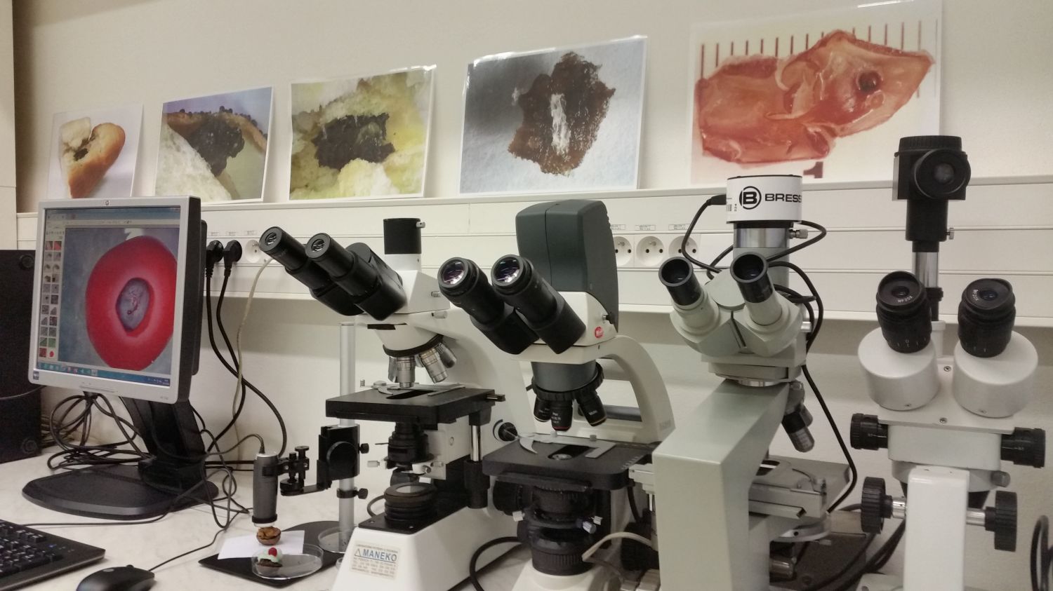 Dostupná mikroskopická technika, včetně digitálních kamer Dino-Lite vhodných pro detekci potravinových defektů.