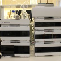 Vysokoúčinný kapalinový chromatograf s DAD, FLD, RI detektorem