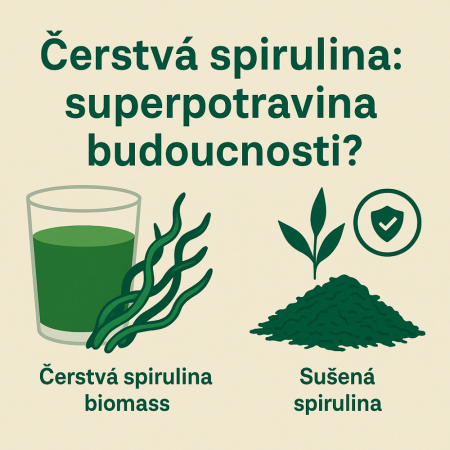 324 - post - Čerstvá nebo sušená spirulina